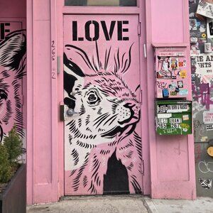 Meet your Posher, Sara